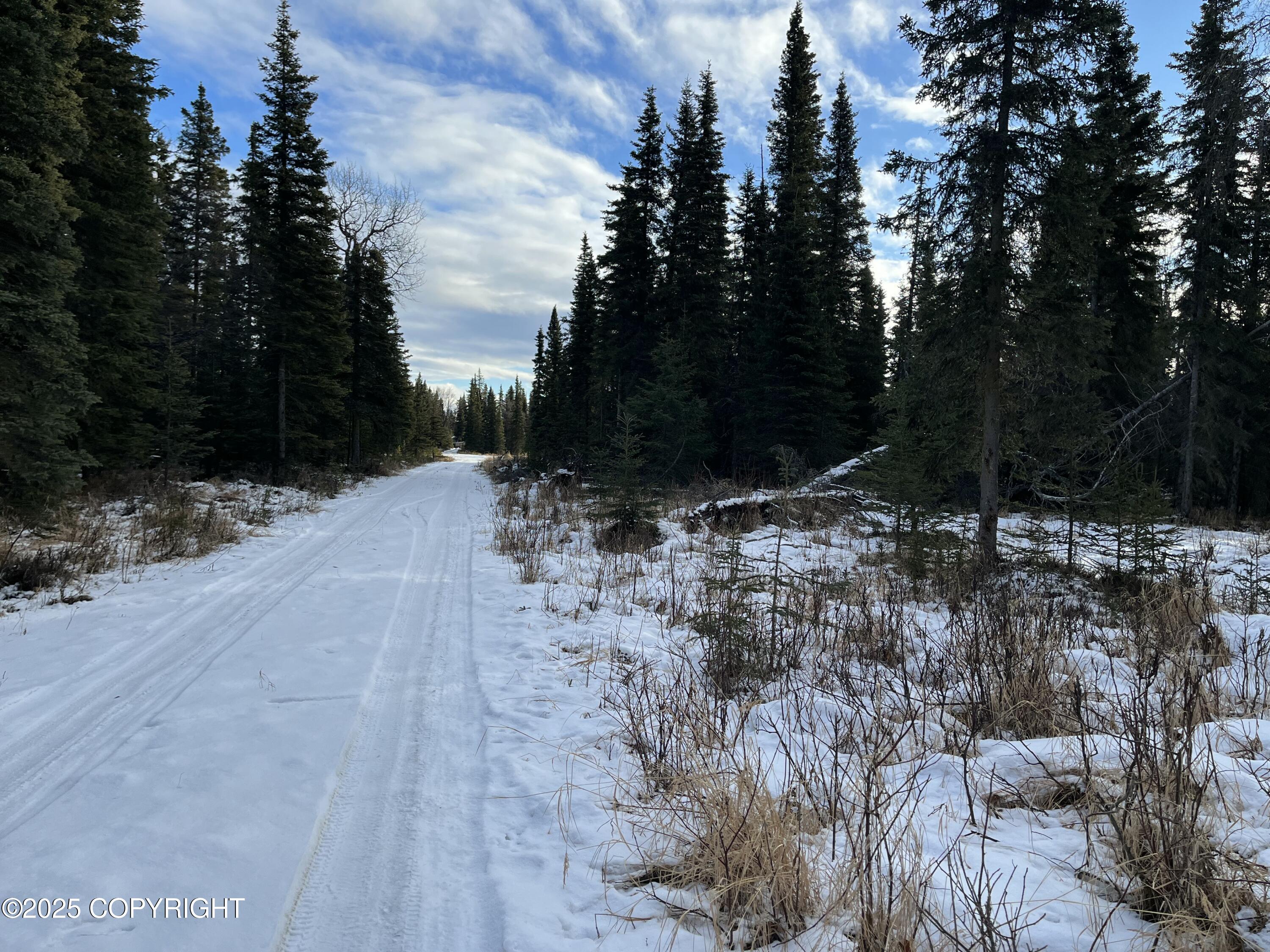 000 E Cohoe Lake Drive, Kasilof, Alaska image 23