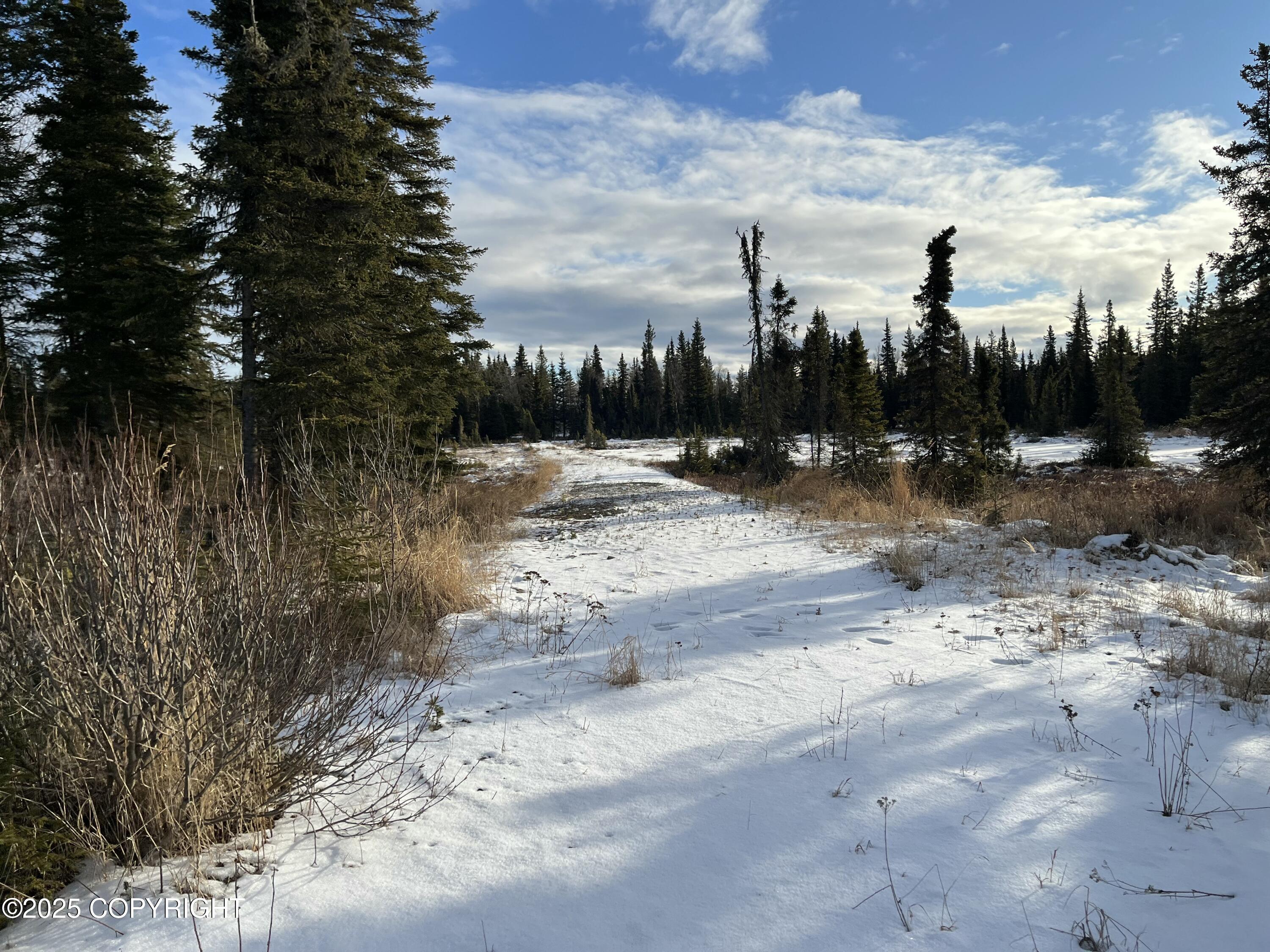 000 E Cohoe Lake Drive, Kasilof, Alaska image 32