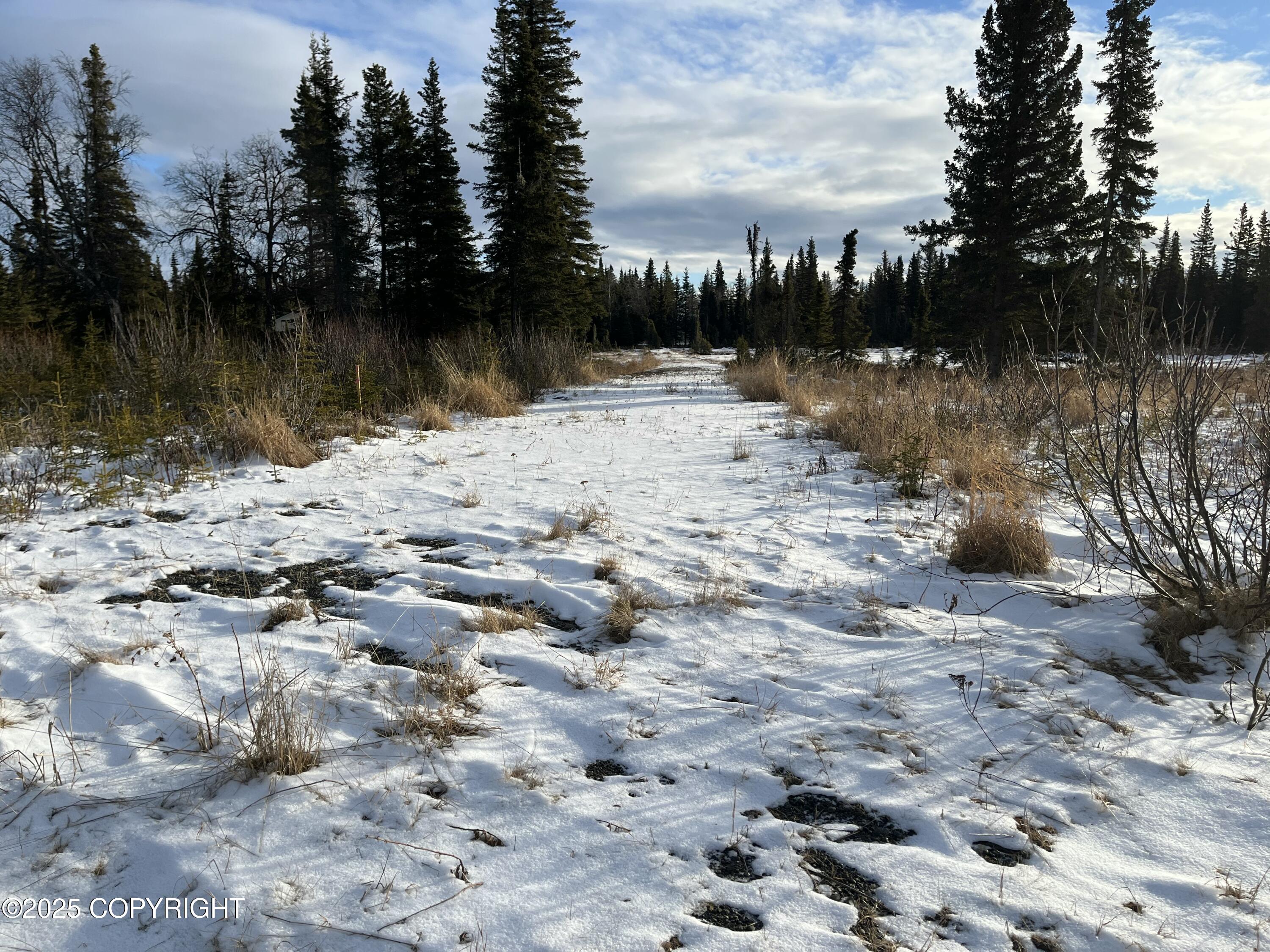 000 E Cohoe Lake Drive, Kasilof, Alaska image 31