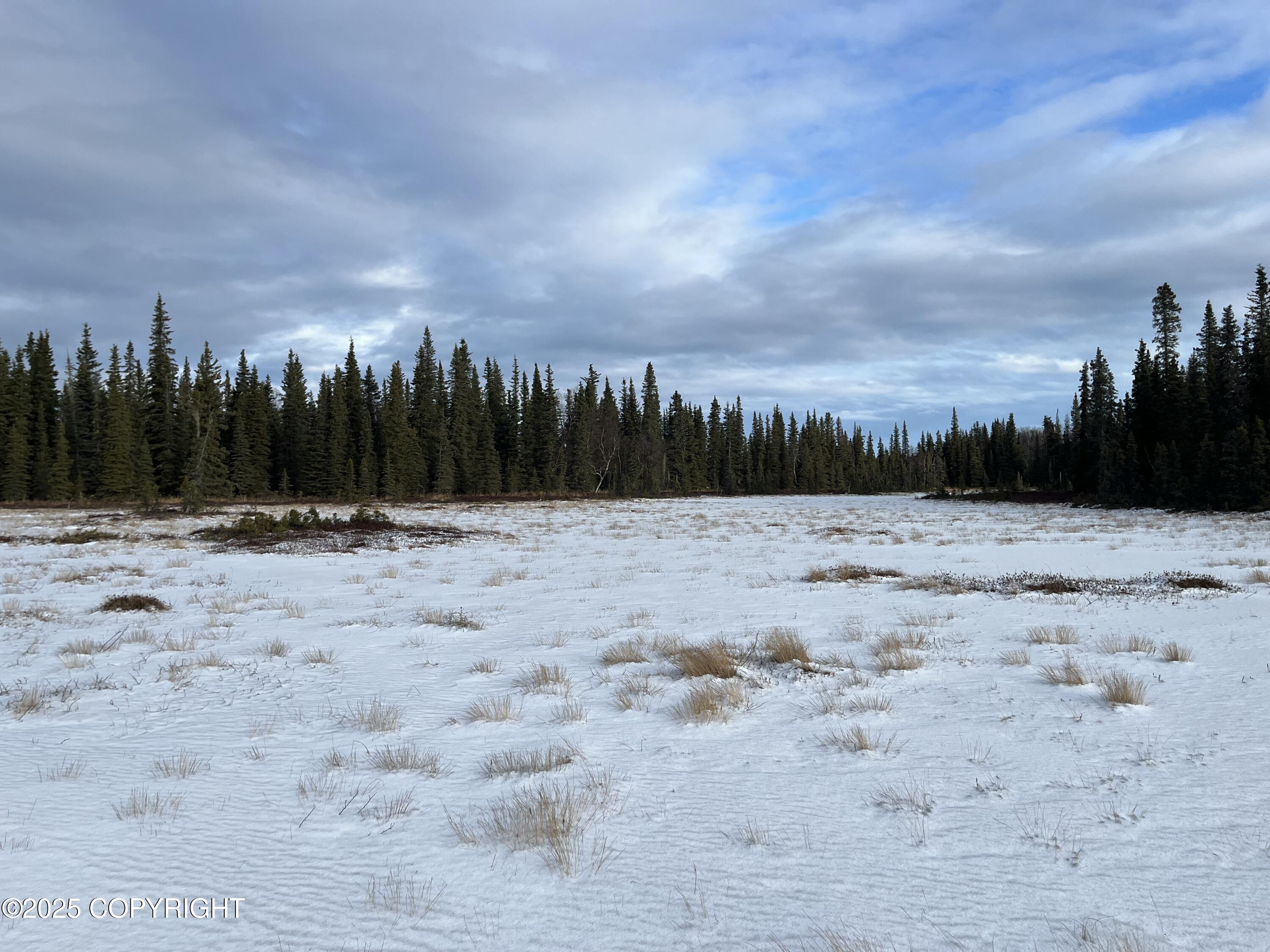 000 E Cohoe Lake Drive, Kasilof, Alaska image 22