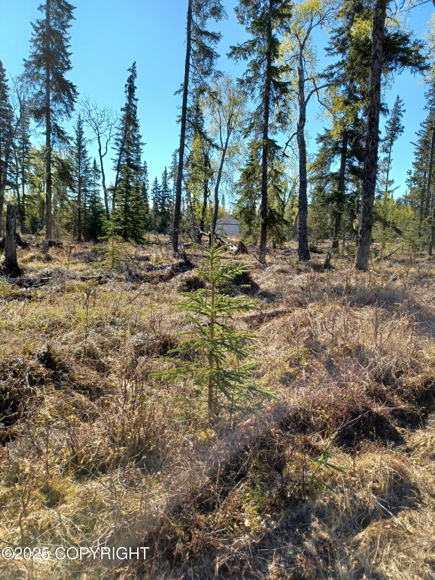 000 E Cohoe Lake Drive, Kasilof, Alaska image 44