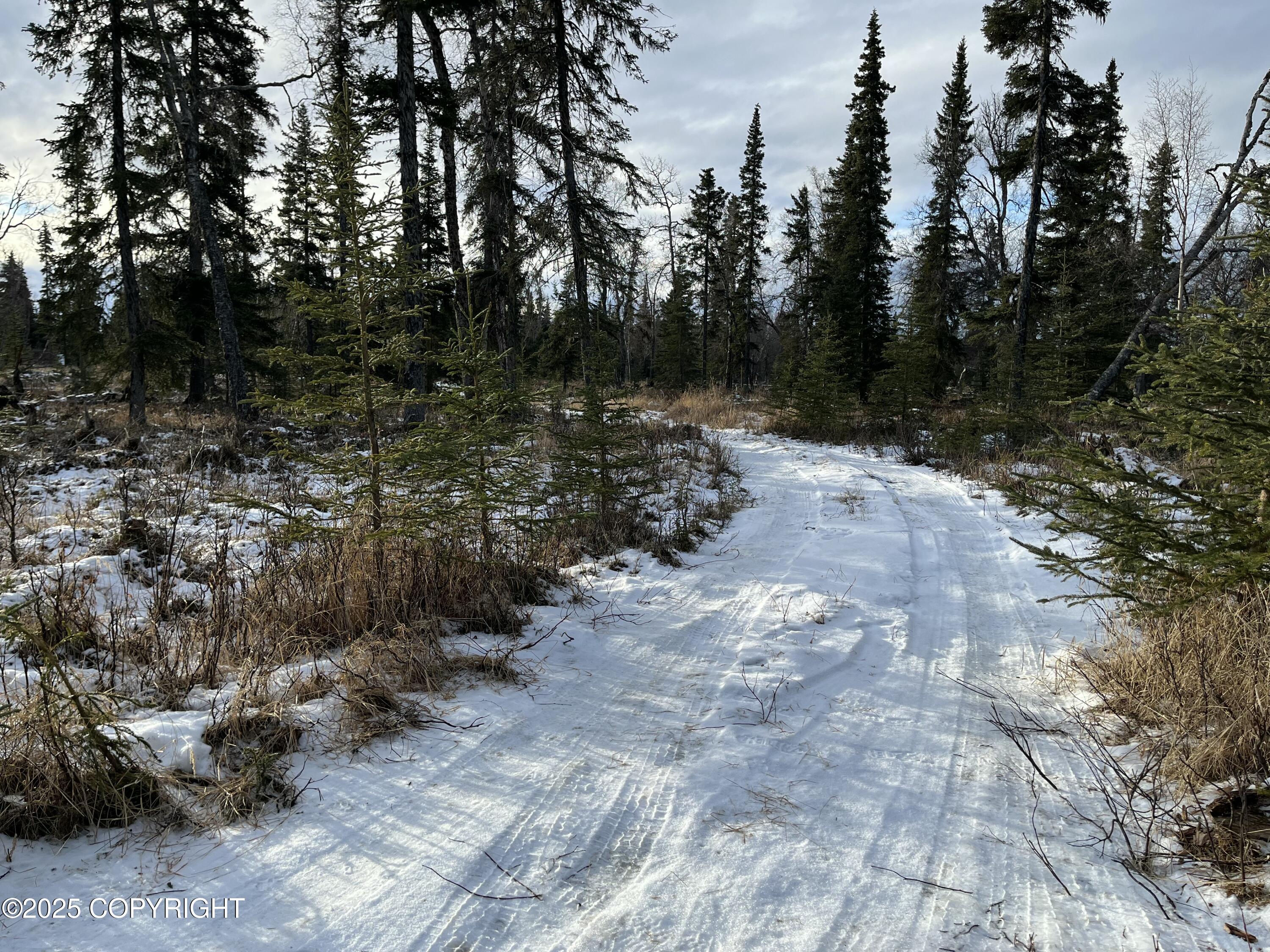 000 E Cohoe Lake Drive, Kasilof, Alaska image 26