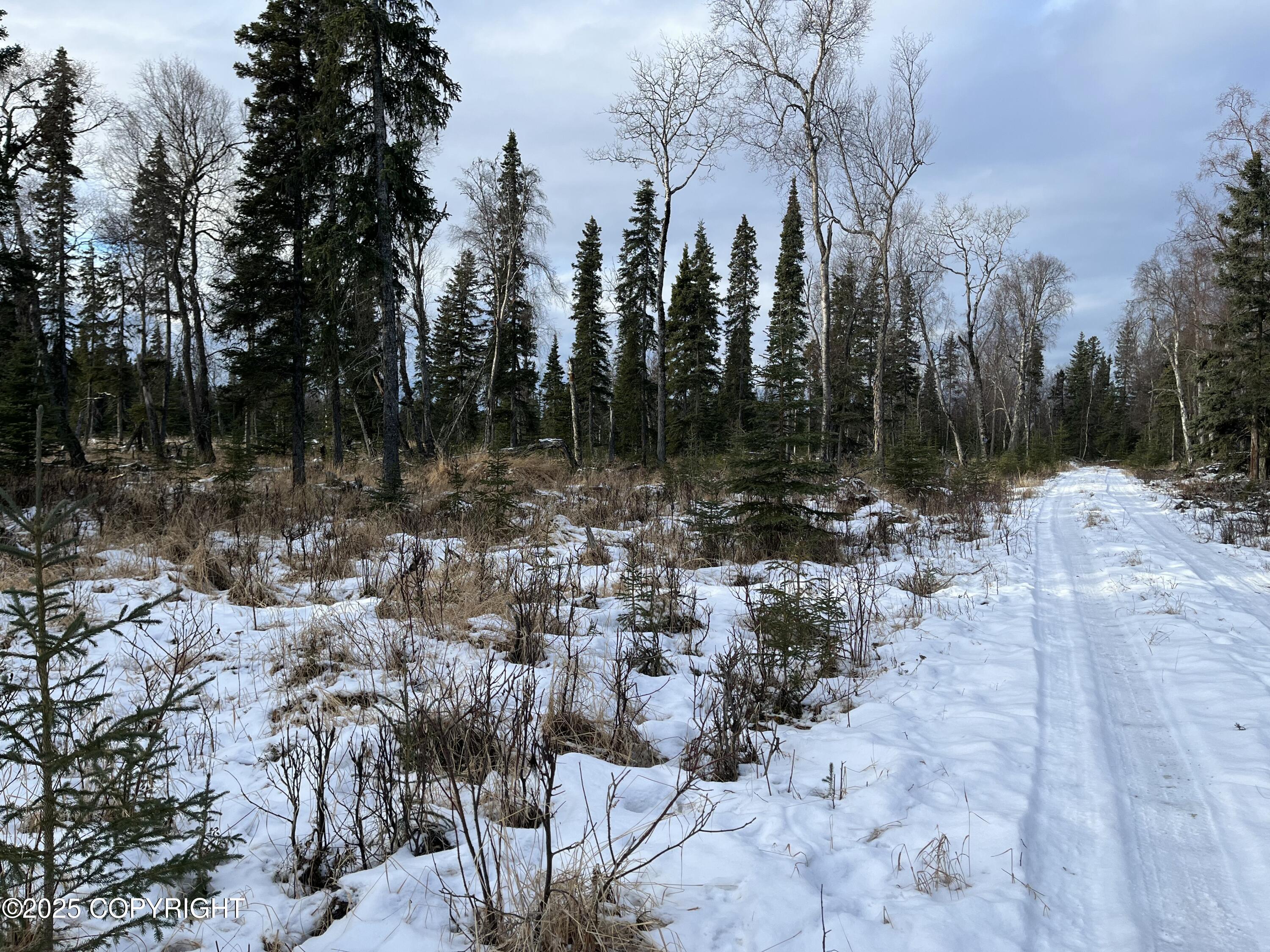 000 E Cohoe Lake Drive, Kasilof, Alaska image 24