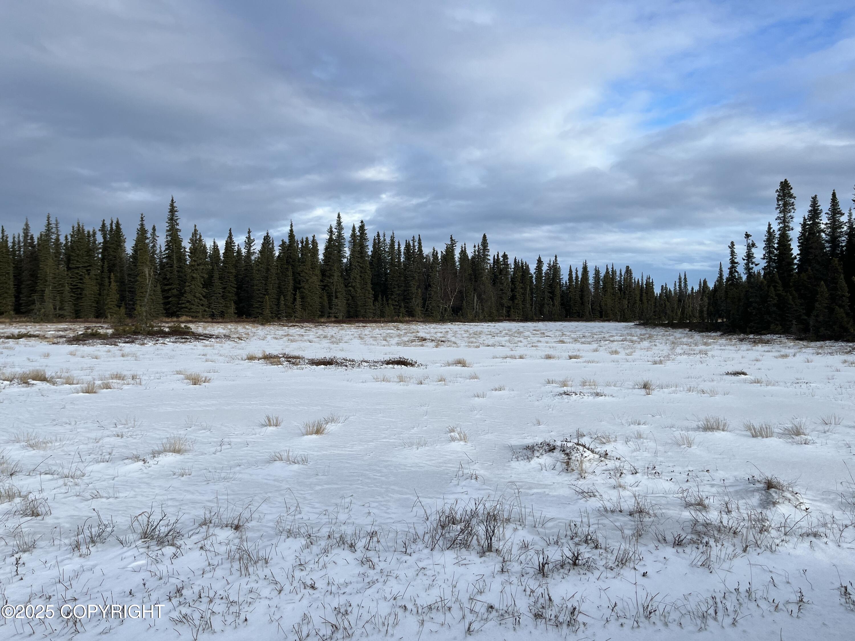 000 E Cohoe Lake Drive, Kasilof, Alaska image 19