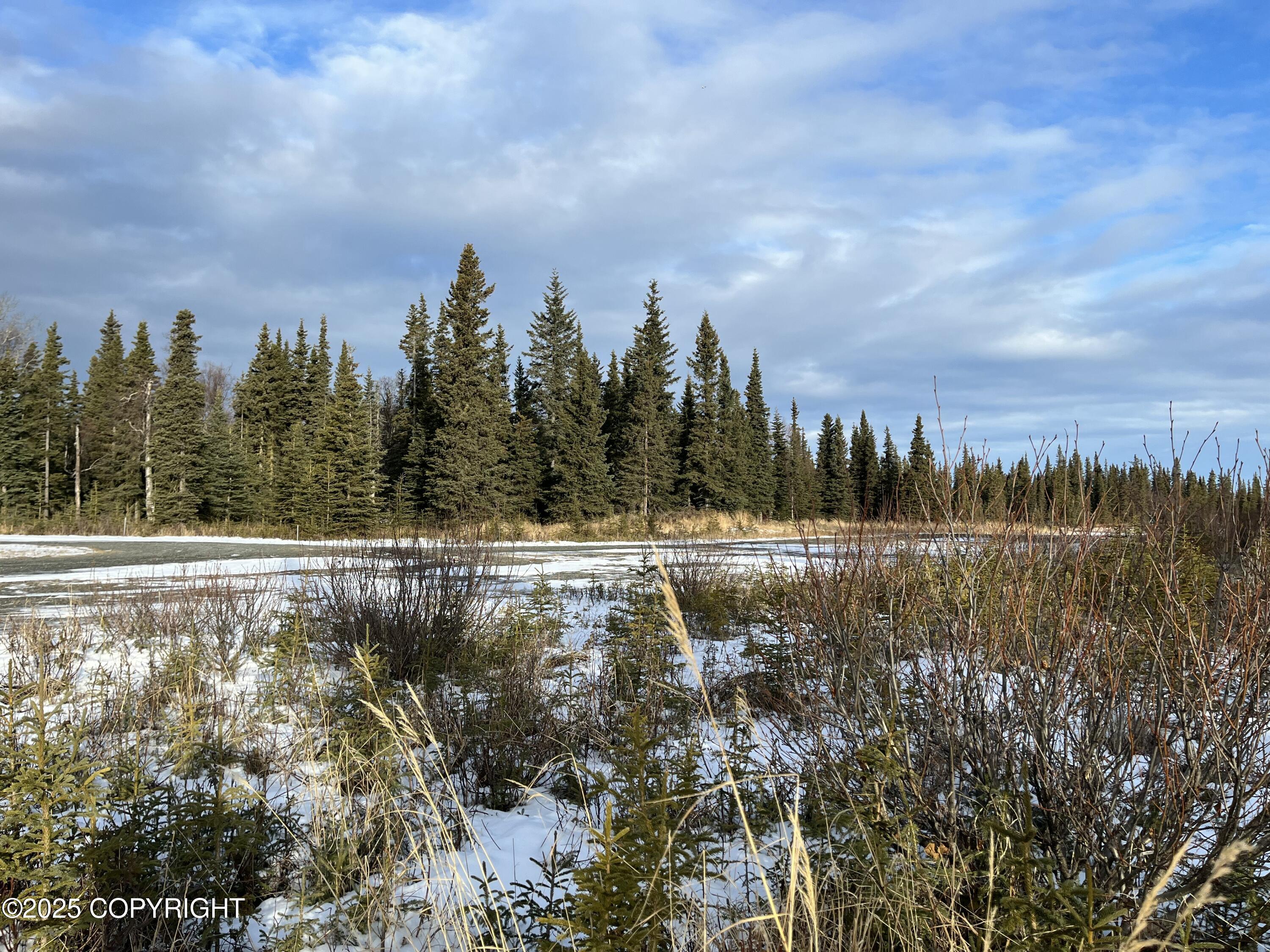 000 E Cohoe Lake Drive, Kasilof, Alaska image 36