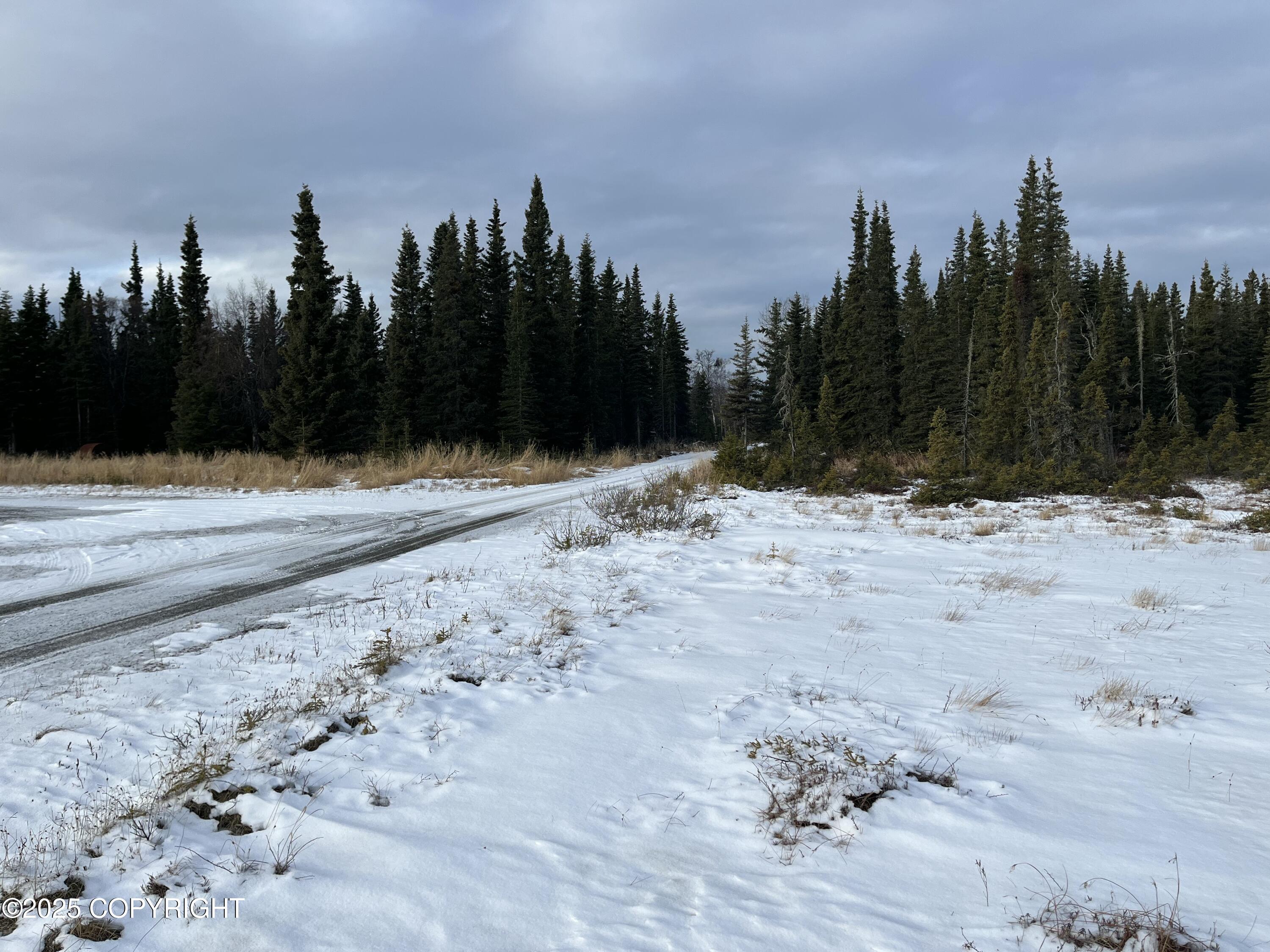 000 E Cohoe Lake Drive, Kasilof, Alaska image 21