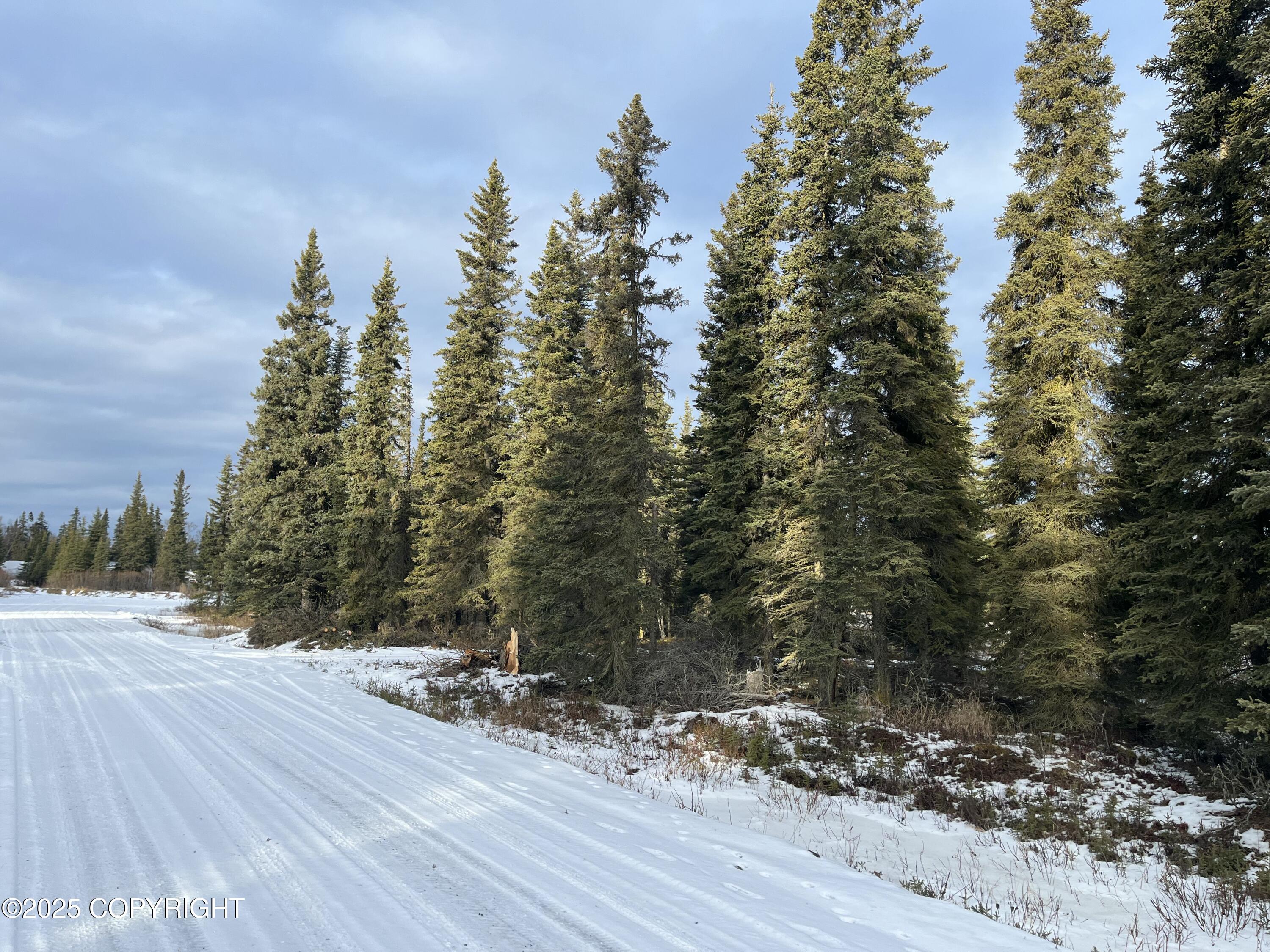 000 E Cohoe Lake Drive, Kasilof, Alaska image 9