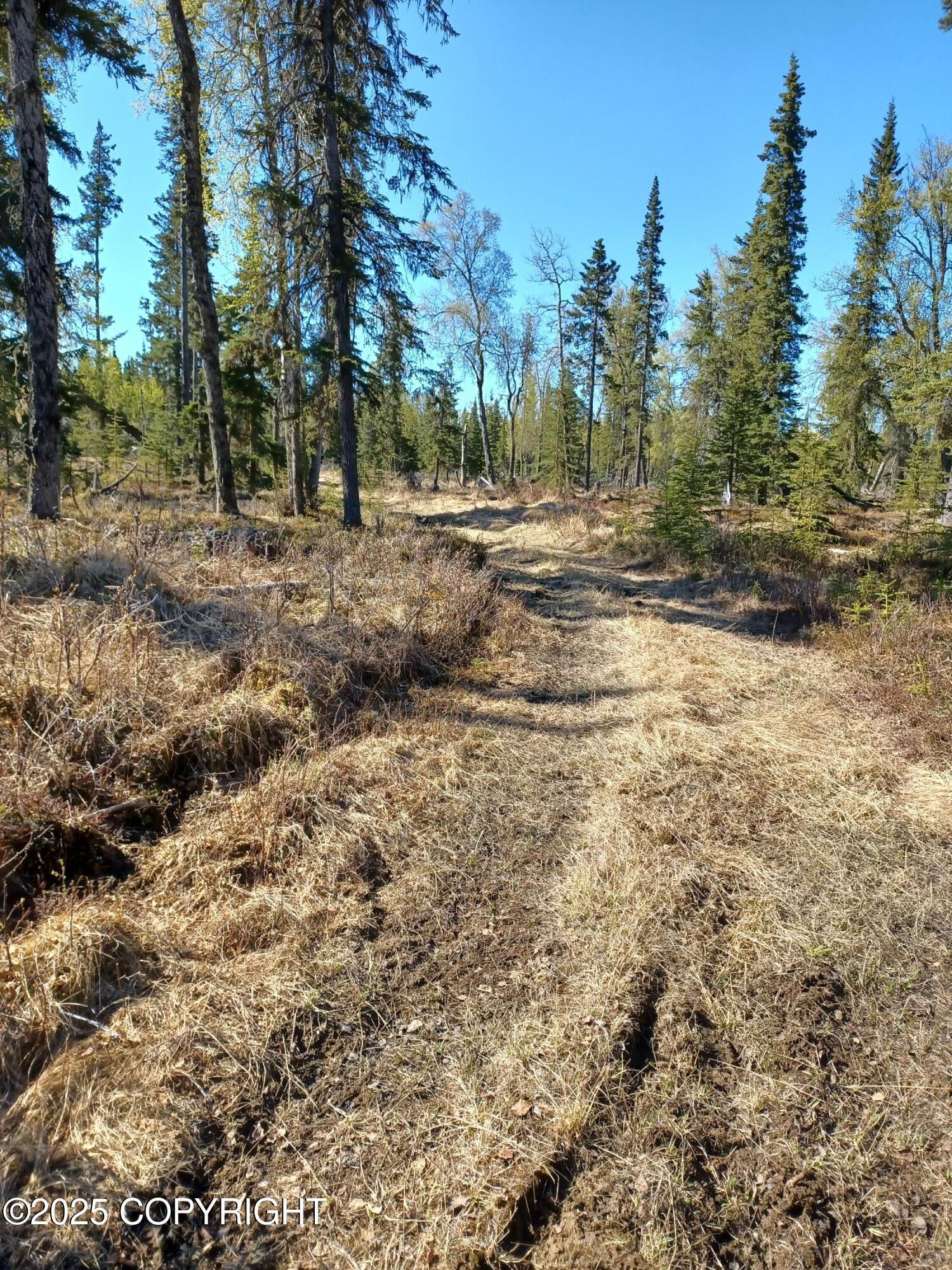 000 E Cohoe Lake Drive, Kasilof, Alaska image 43