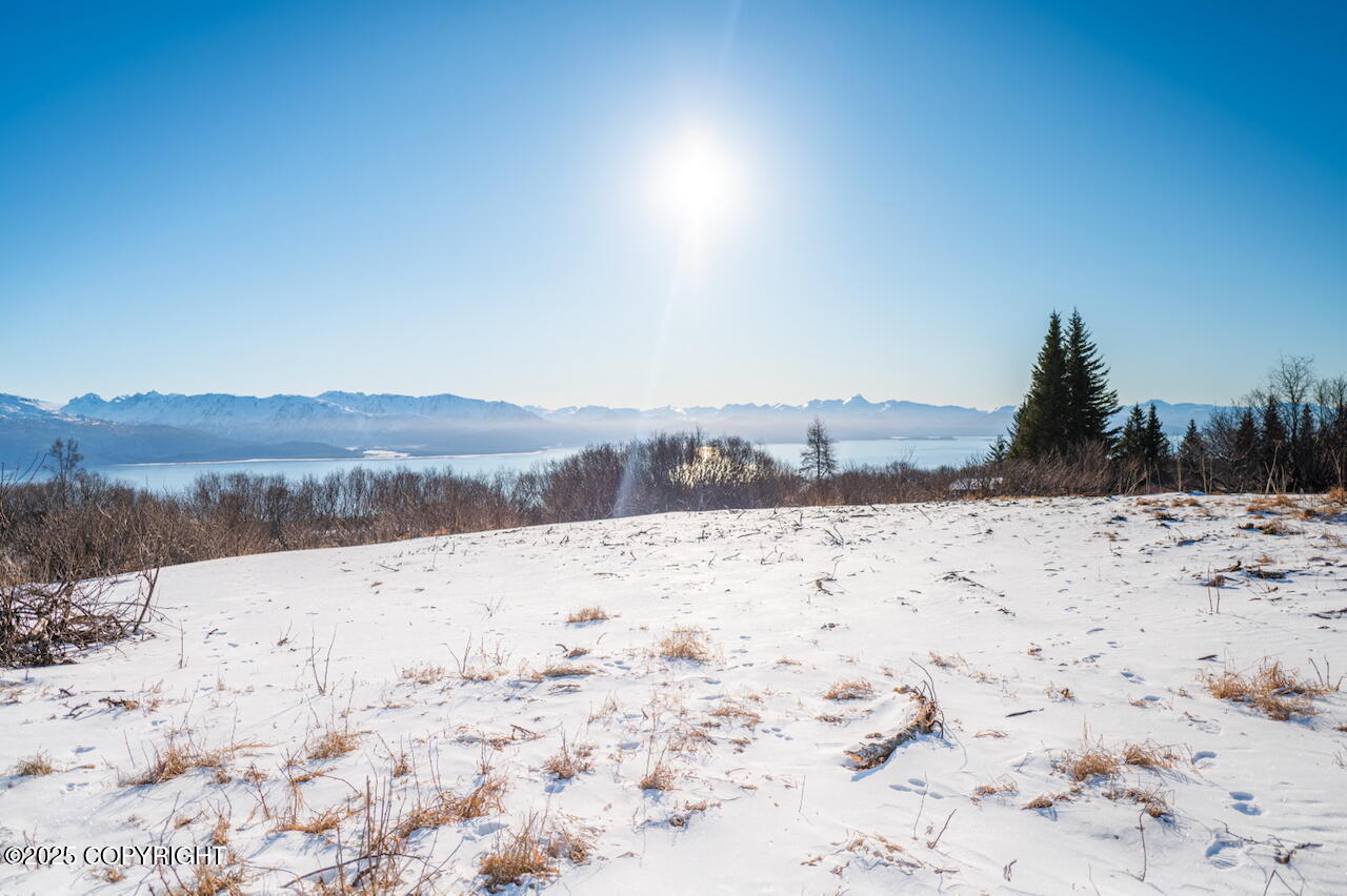 L2 E Hutler Road, Homer, Idaho image 10