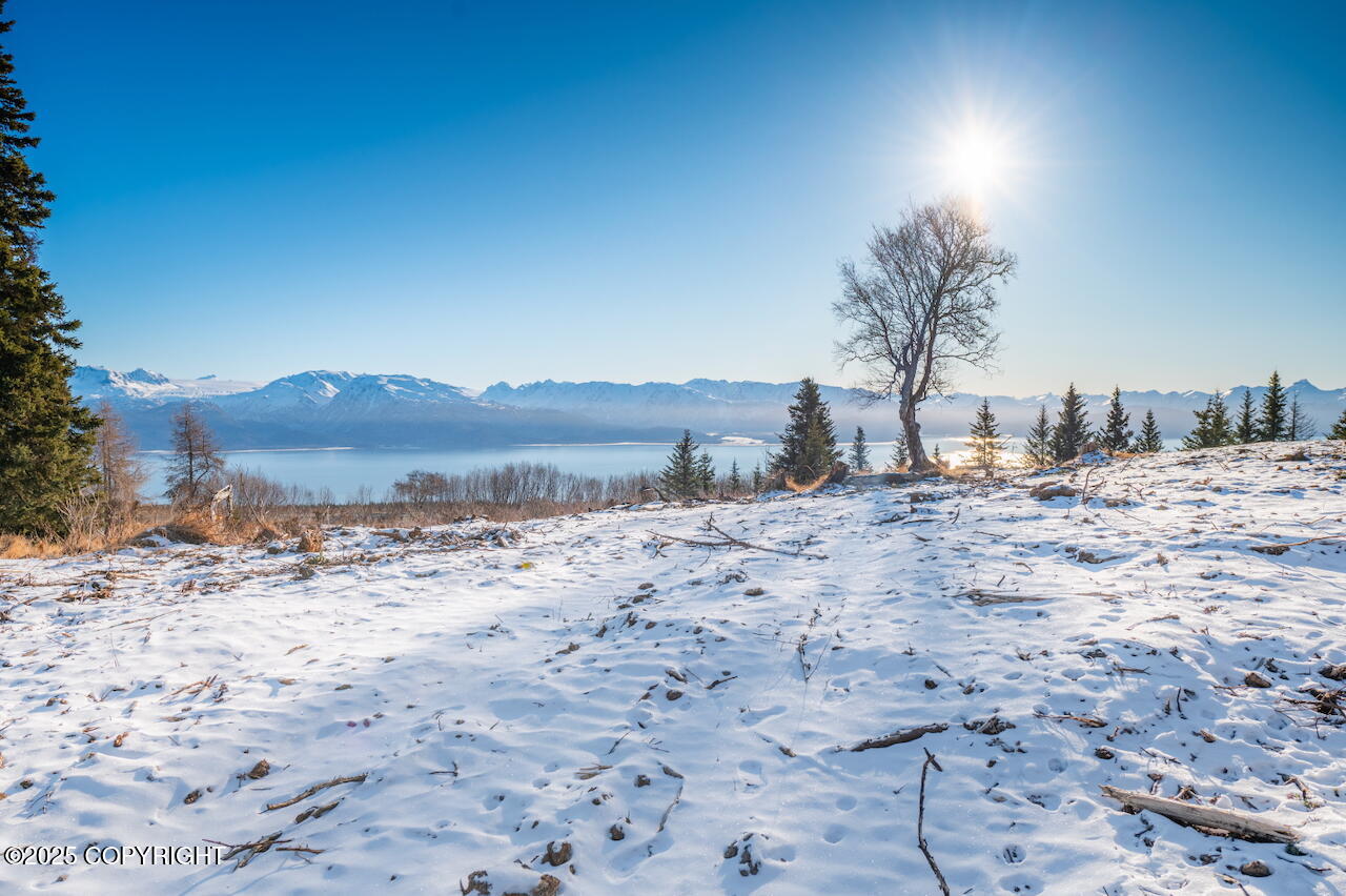 L2 E Hutler Road, Homer, Idaho image 12