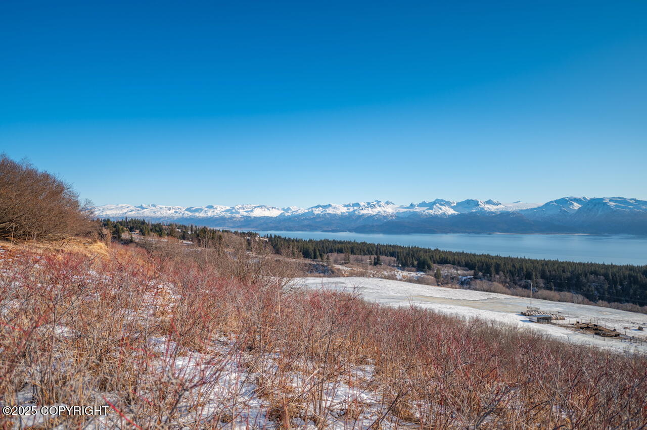 L2 E Hutler Road, Homer, Idaho image 11
