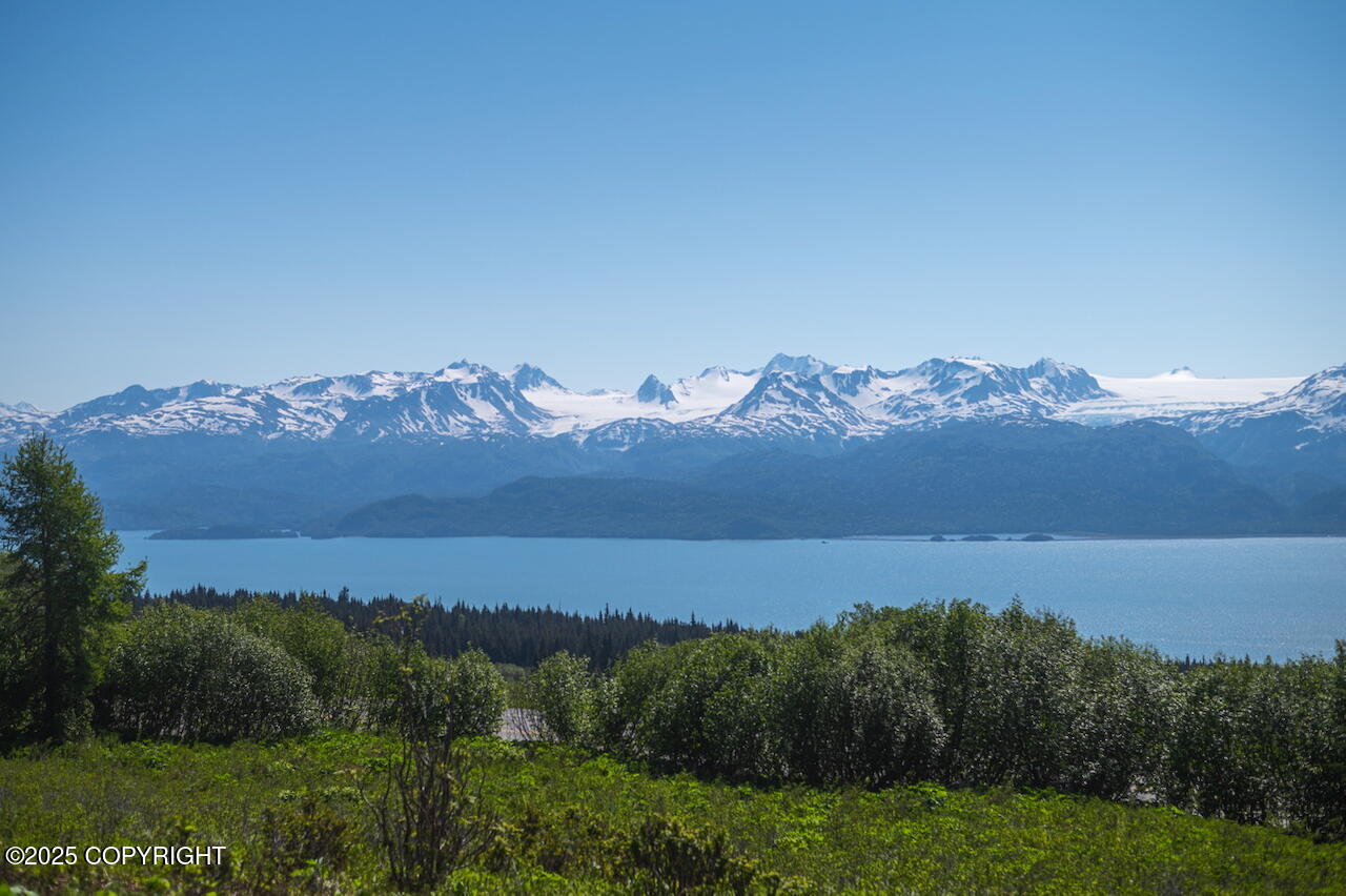 L2 E Hutler Road, Homer, Idaho image 8