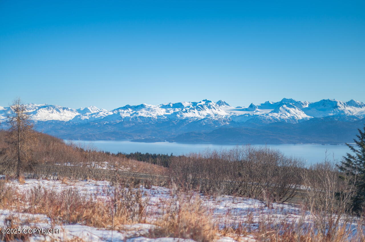 L2 E Hutler Road, Homer, Idaho image 1