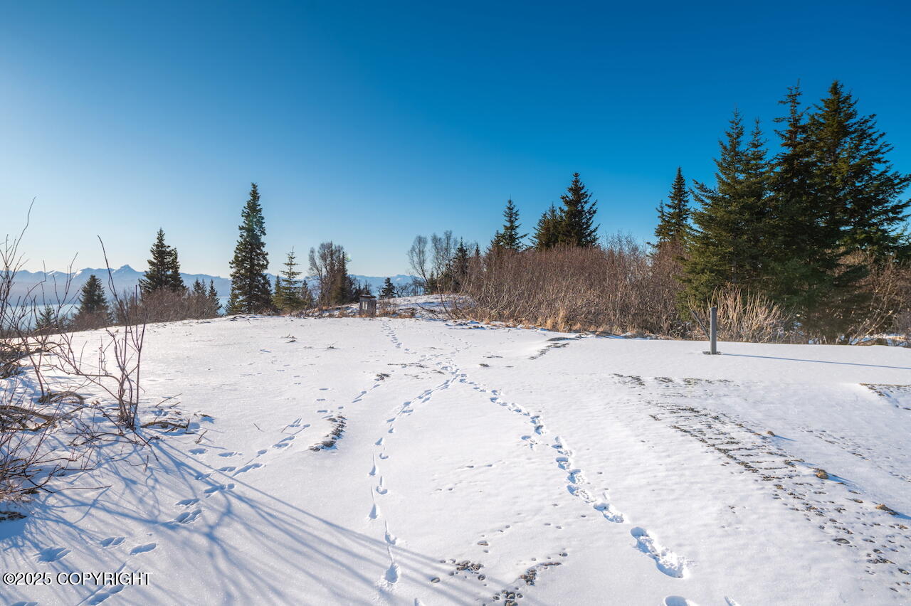 L2 E Hutler Road, Homer, Idaho image 13