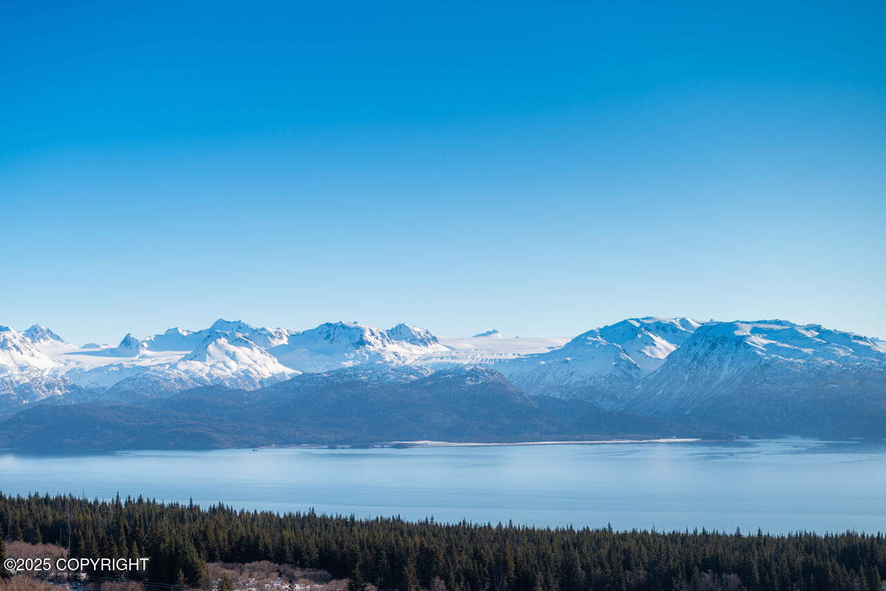 L2 E Hutler Road, Homer, Idaho image 2