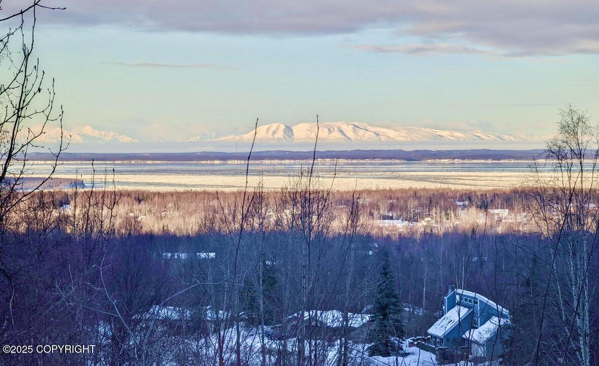 25220 Homestead Road, Chugiak, Alaska image 4