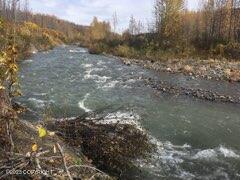 9005 S Cheechako Creek Circle, Trapper Creek, Alaska image 13