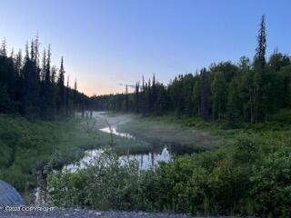 9005 S Cheechako Creek Circle, Trapper Creek, Alaska image 15