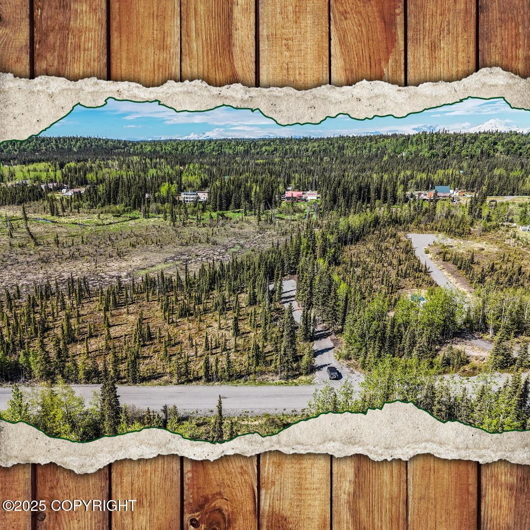 L3B2 Crooked Creek Road, Kasilof, Alaska image 1