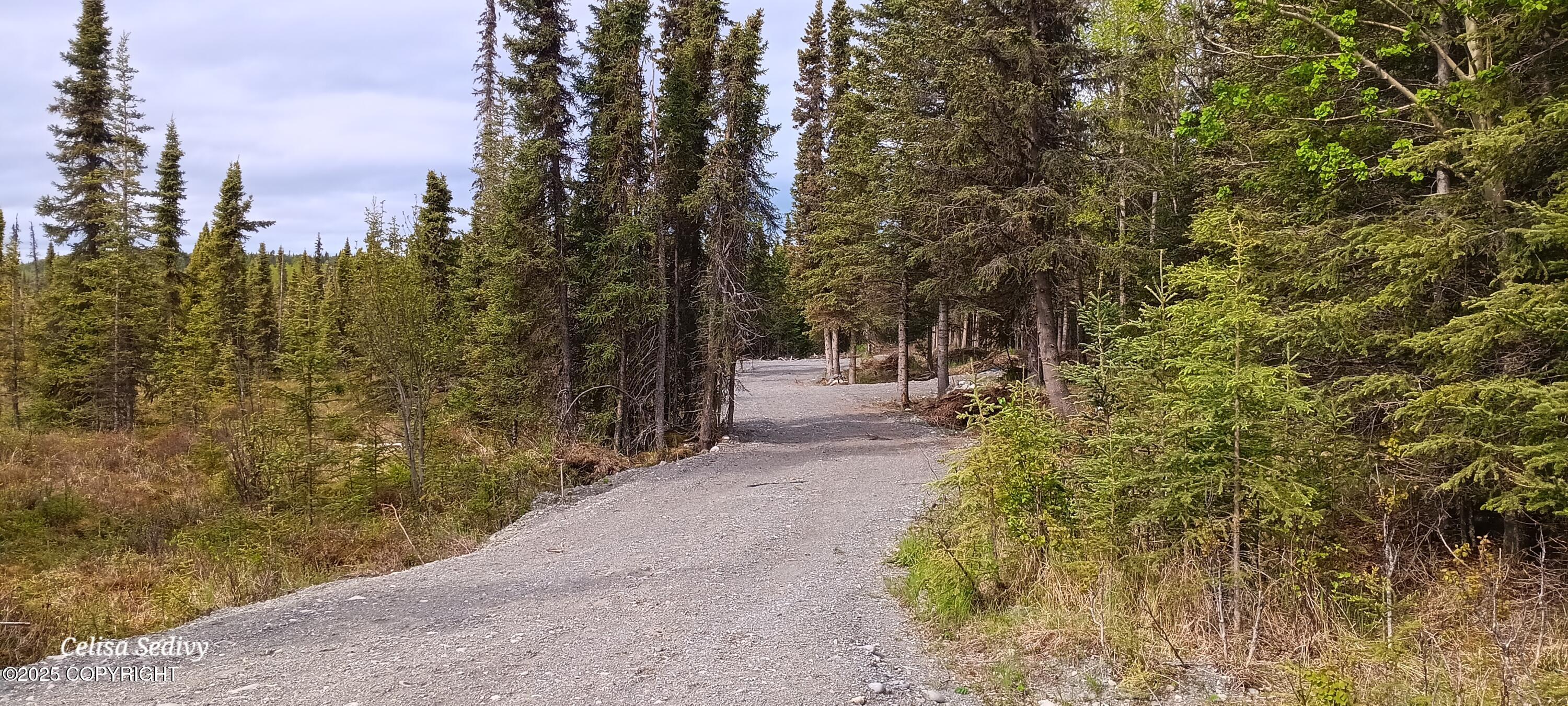 L3B2 Crooked Creek Road, Kasilof, Alaska image 3