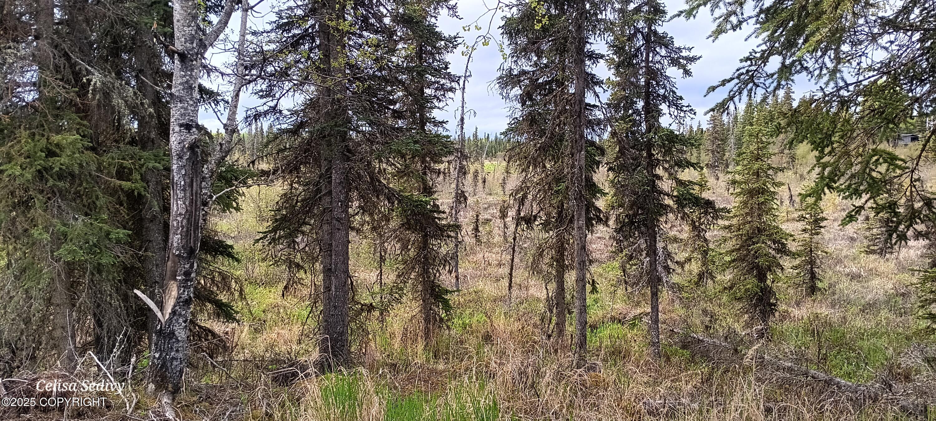 L3B2 Crooked Creek Road, Kasilof, Alaska image 15