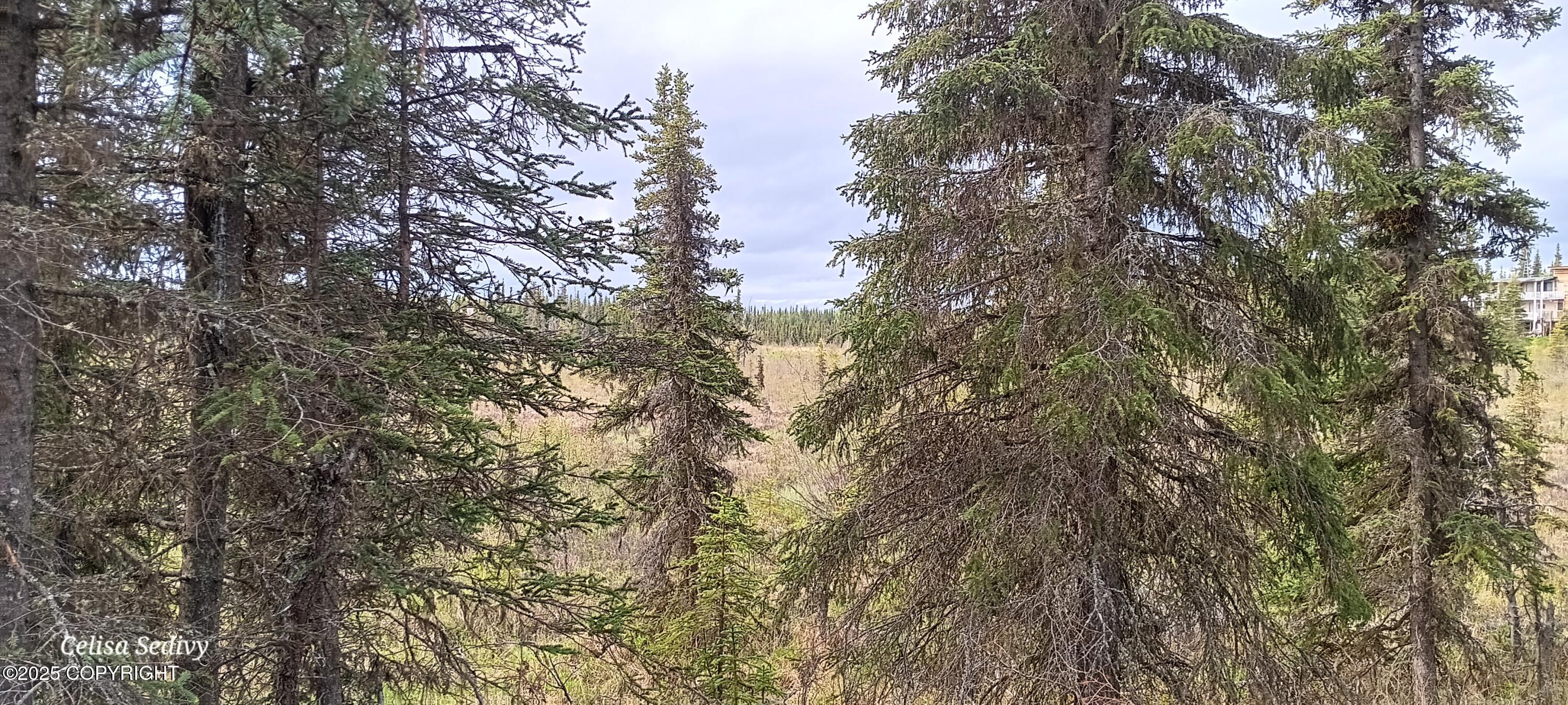 L3B2 Crooked Creek Road, Kasilof, Alaska image 17