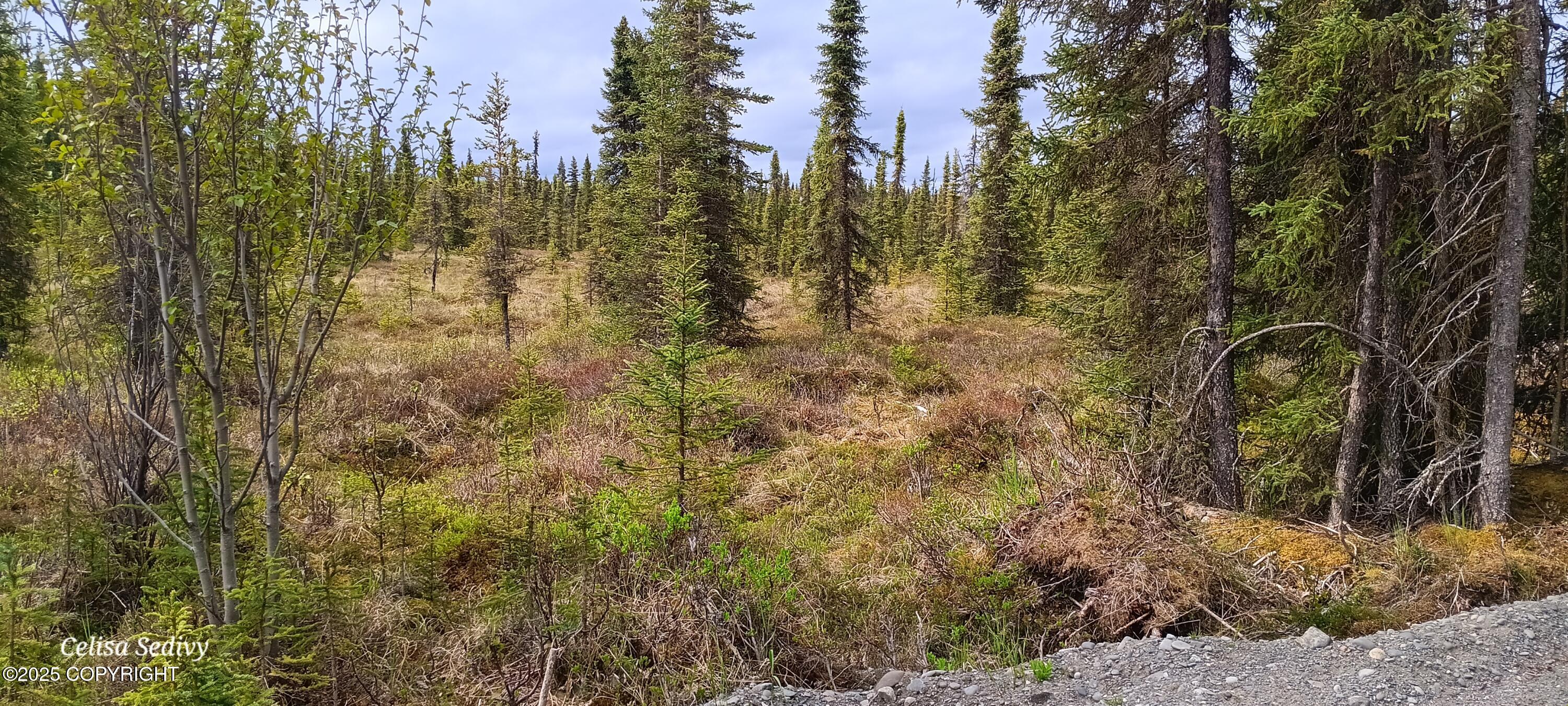L3B2 Crooked Creek Road, Kasilof, Alaska image 19
