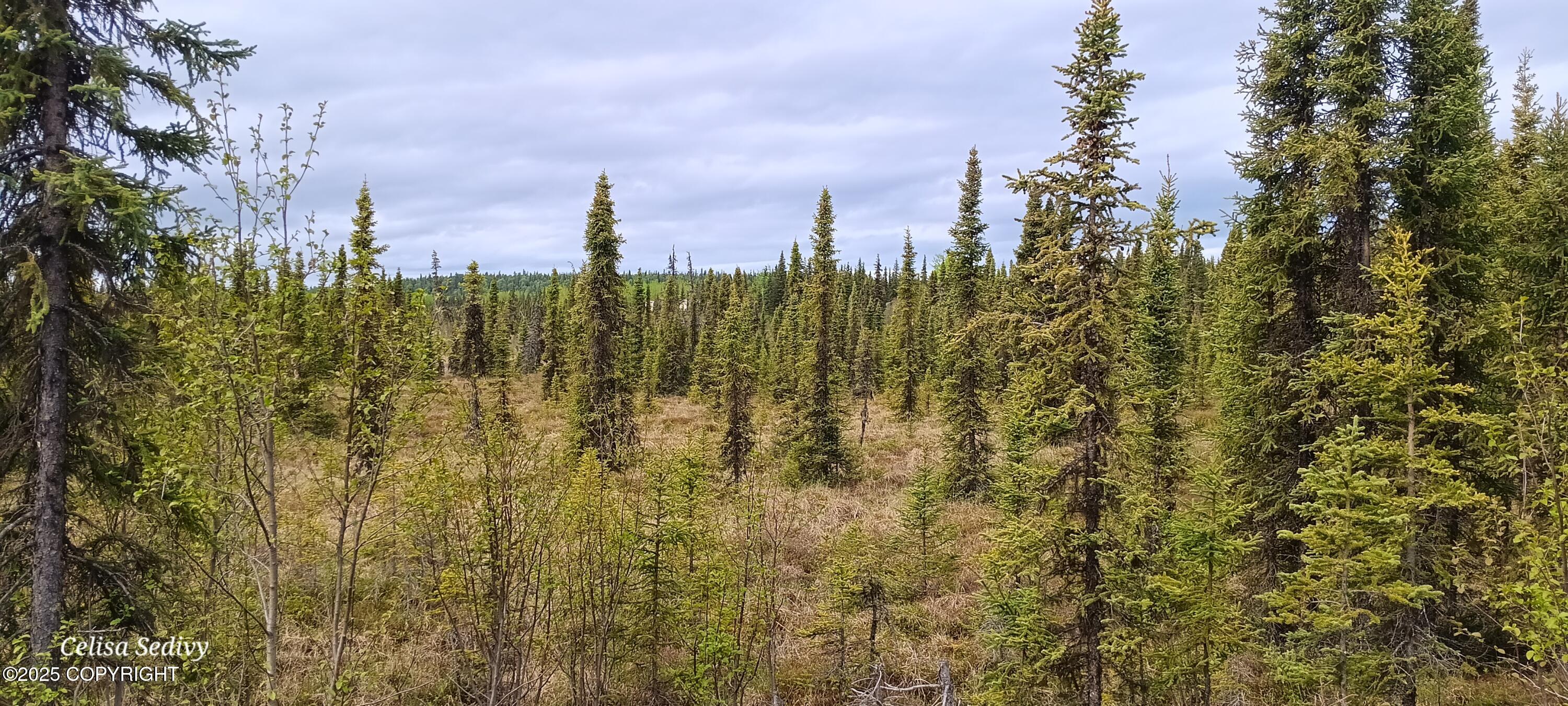 L3B2 Crooked Creek Road, Kasilof, Alaska image 22