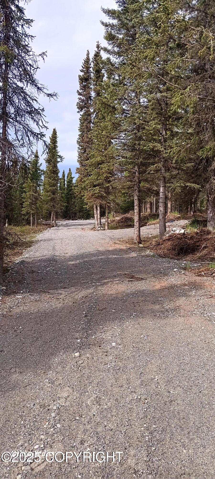 L3B2 Crooked Creek Road, Kasilof, Alaska image 4
