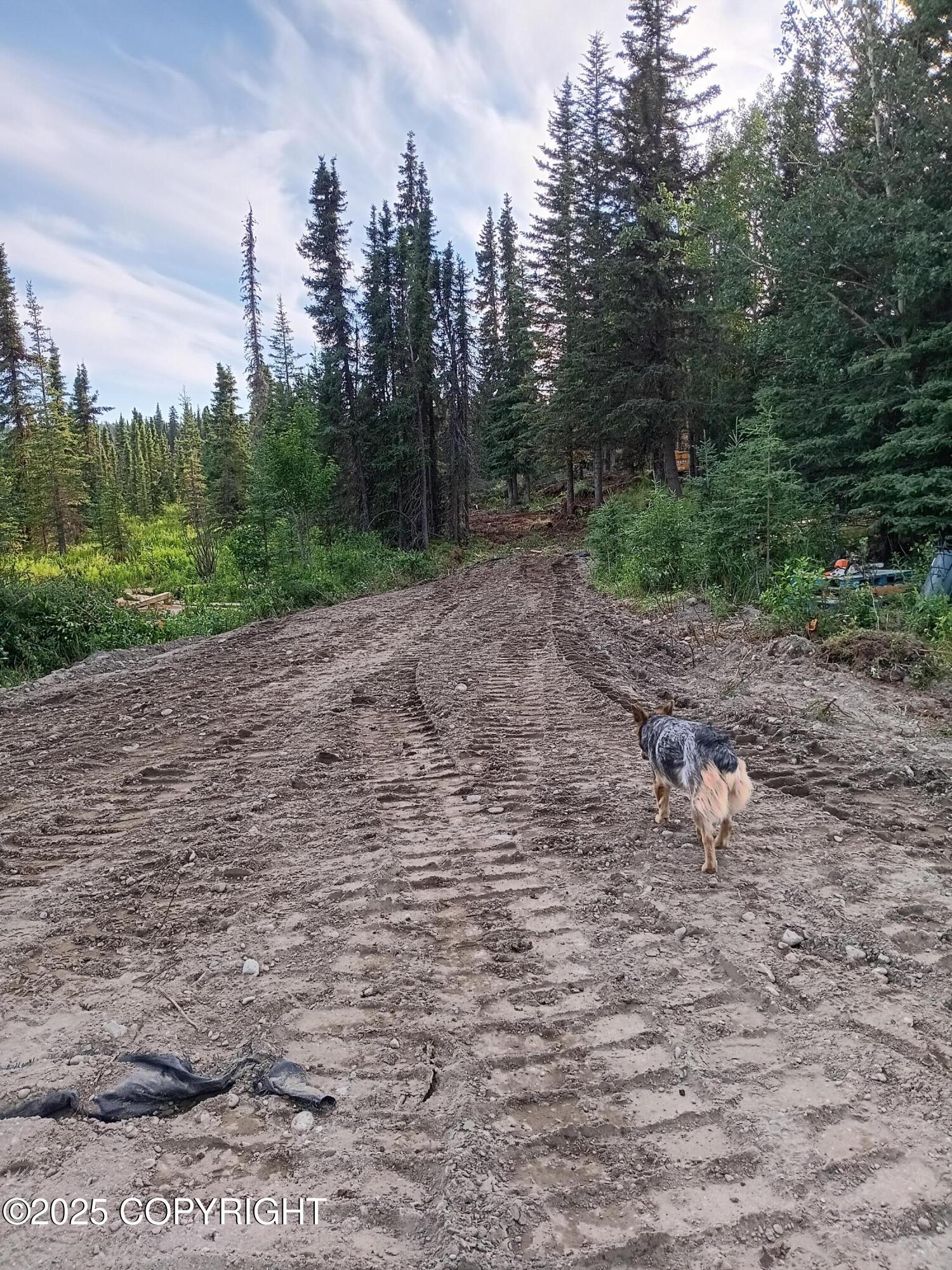 L3B2 Crooked Creek Road, Kasilof, Alaska image 13