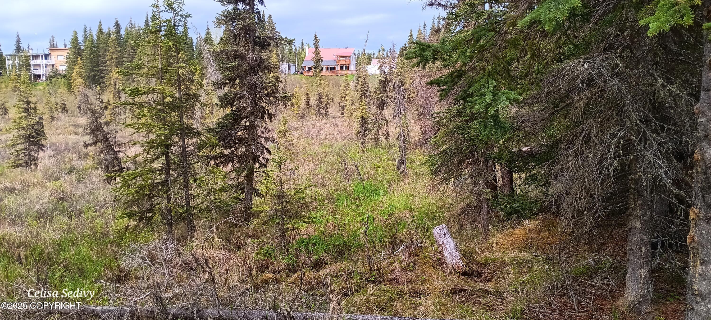 L3B2 Crooked Creek Road, Kasilof, Alaska image 16