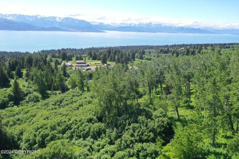 Vacant Land For Sale - 35887 Cloverdale Circle<br/> Homer, AK 99603