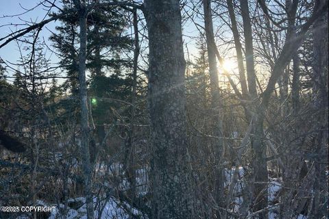 Vacant Land For Sale - 34725 N Fork Road<br/> Anchor Point, AK 99556