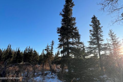 Vacant Land For Sale - 34725 N Fork Road<br/> Anchor Point, AK 99556