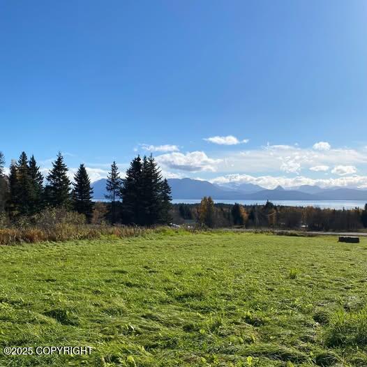 L1 Johnna Circle, Homer, Alaska image 1
