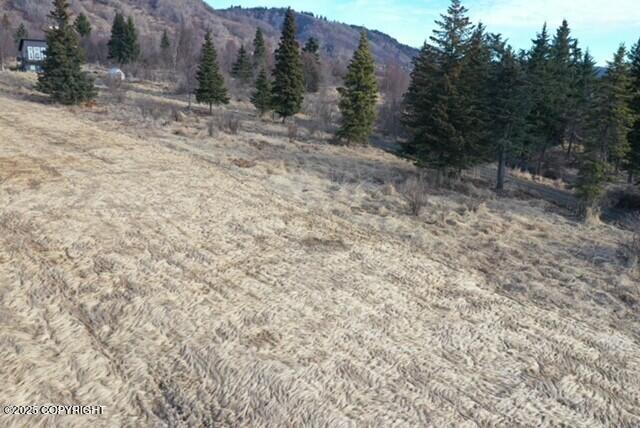 L1 Johnna Circle, Homer, Alaska image 5