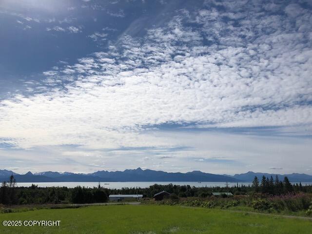 L1 Johnna Circle, Homer, Alaska image 4
