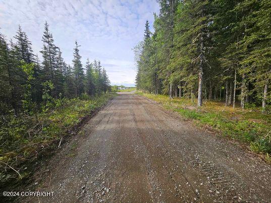 52037 Lower Salamatof Avenue, Nikiski/North Kenai, Alaska image 1