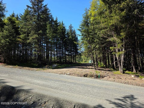 Photo of Lot 48 Martin Avenue, Haines, AK 99827 (MLS # 26-12204)