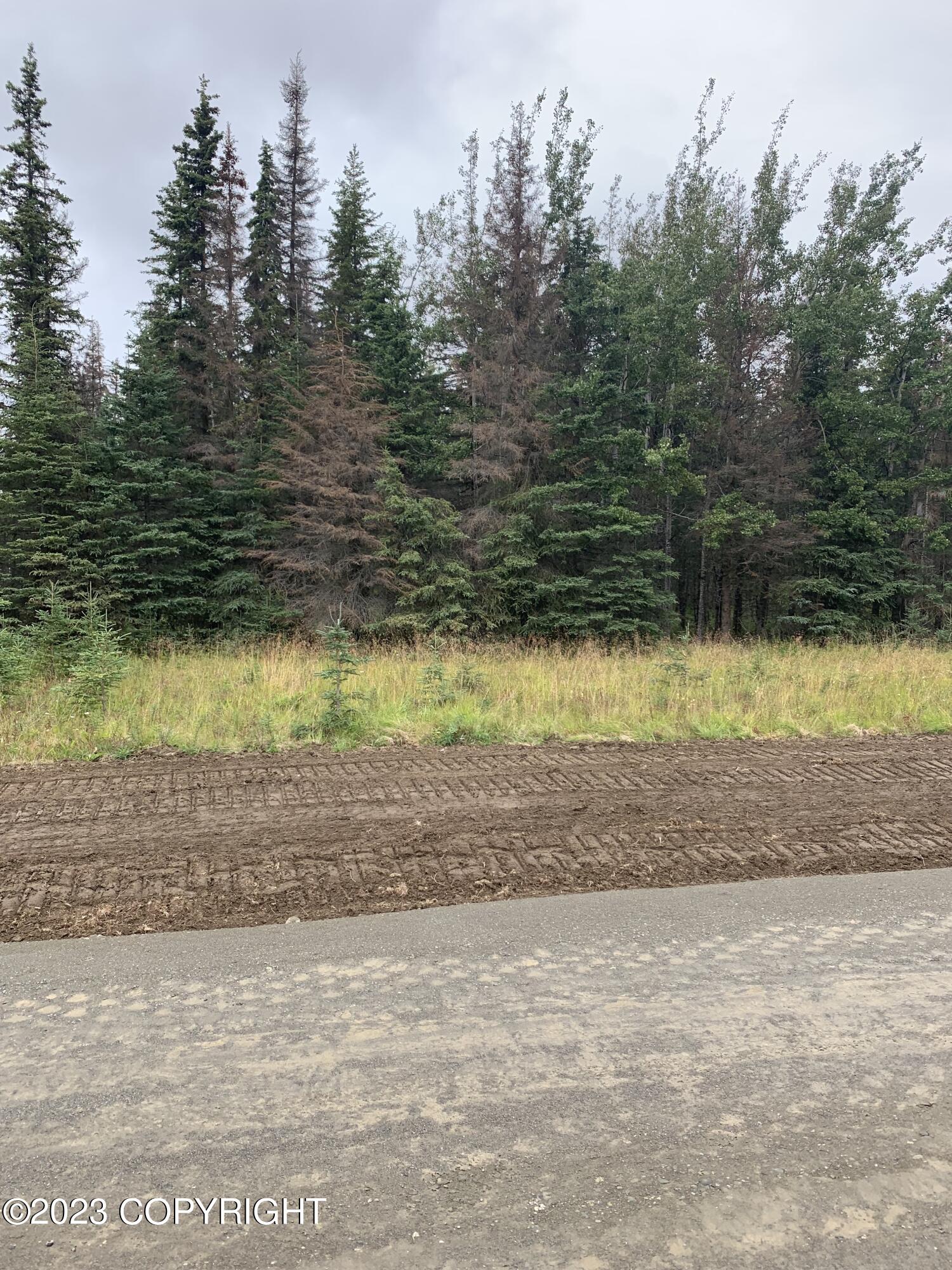 L5 Truly Circle, Soldotna, Alaska image 5