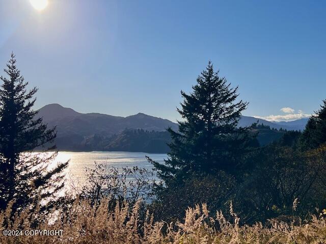 6002 Cliff Point Road, Kodiak, Alaska image 17