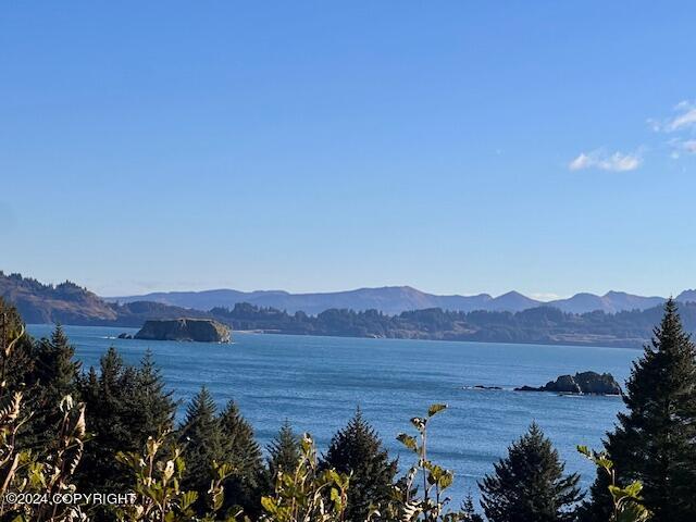 6002 Cliff Point Road, Kodiak, Alaska image 12