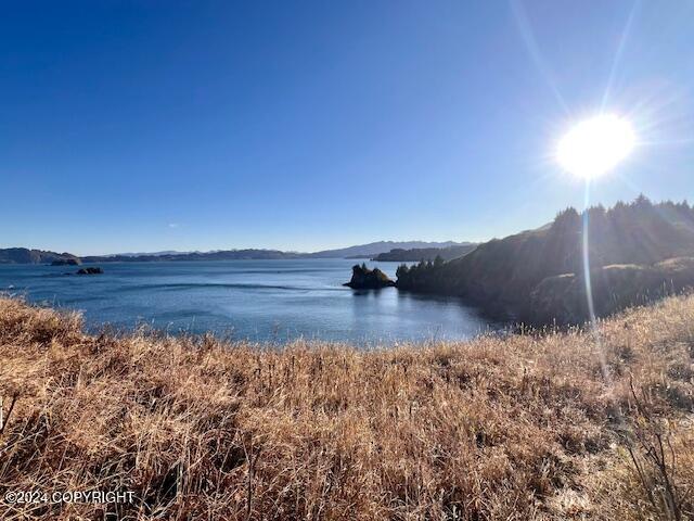 6002 Cliff Point Road, Kodiak, Alaska image 9