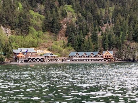 50815 Halibut Cove REM SW Homer AK 99603