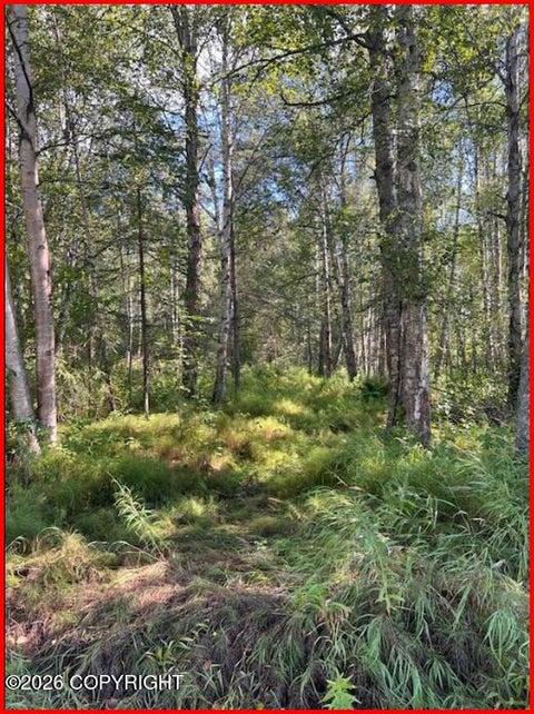 Vacant Land For Sale - 9865 S Twilight Drive<br/> Wasilla, AK 99654