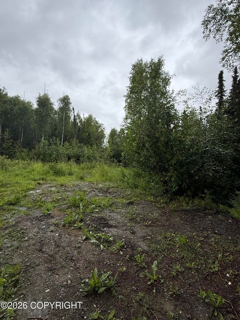 Vacant Land For Sale - 14136 W White Rabbit Circle<br/> Houston, AK 99694