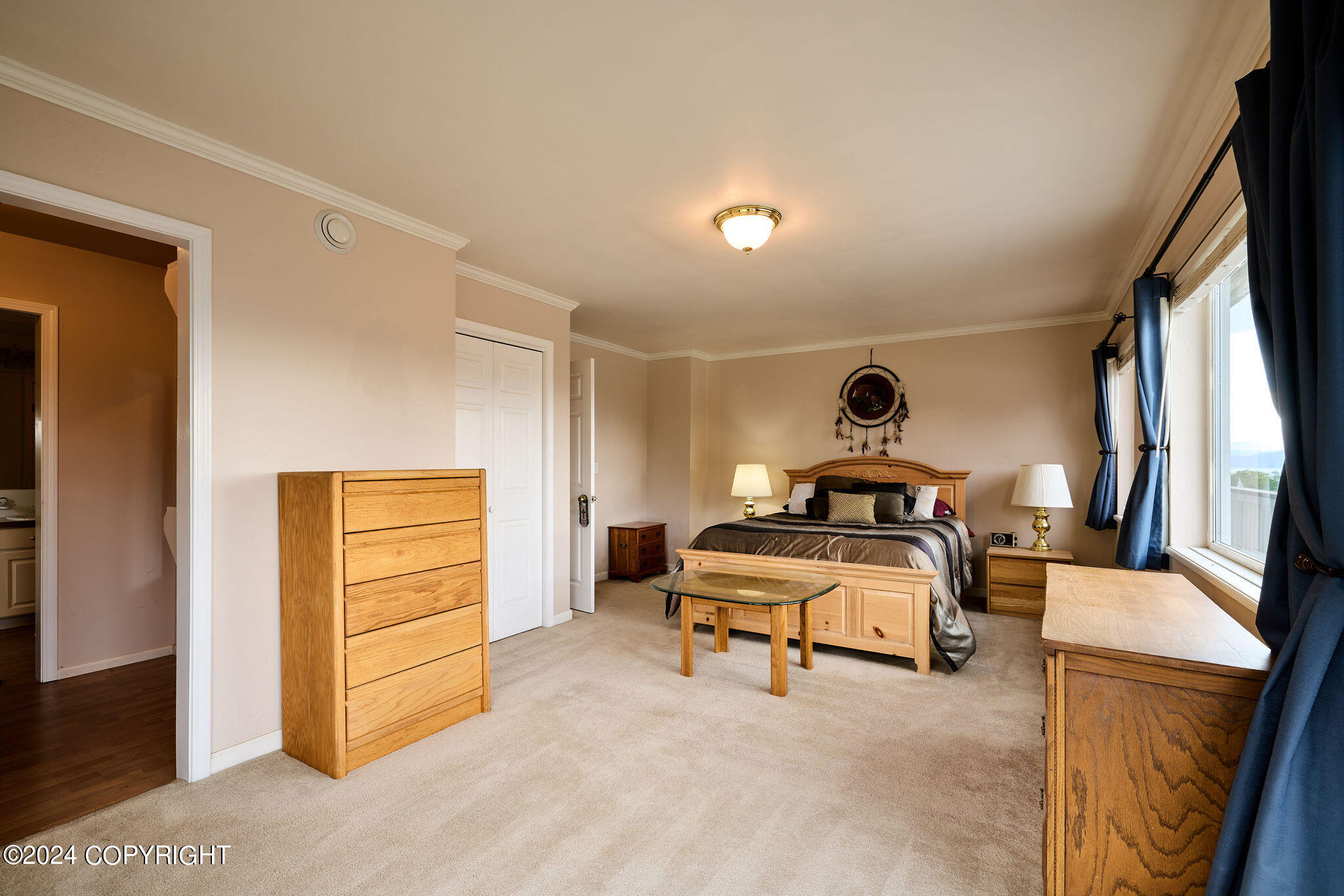 41385 Ptarmigan Heights Drive, Homer, Alaska image 18