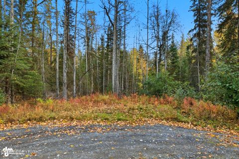 Photo of 000 Ansel Street, Soldotna, AK 99669 (MLS # 25-13524) Photo of 000 Ansel Street, Soldotna, AK 99669 (MLS # 25-13524)