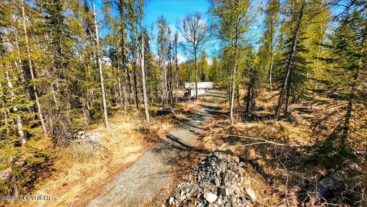 21325 W Moore Road, Wasilla, Alaska image 12