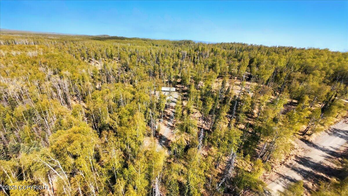 21325 W Moore Road, Wasilla, Alaska image 2